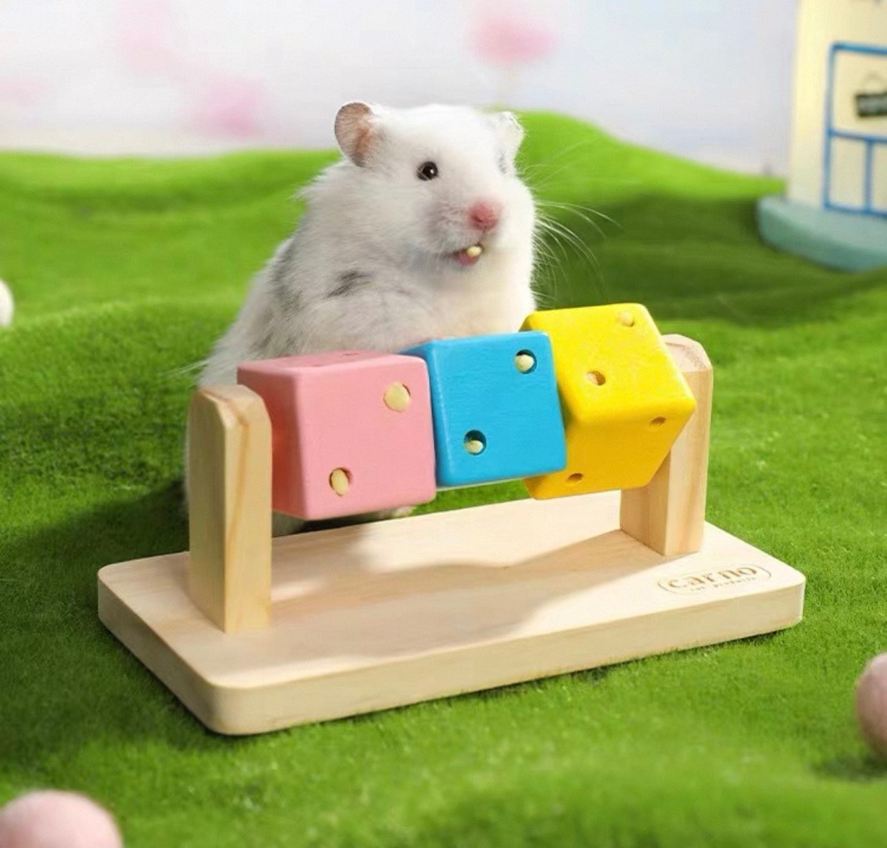 Hamster Rubik Cube